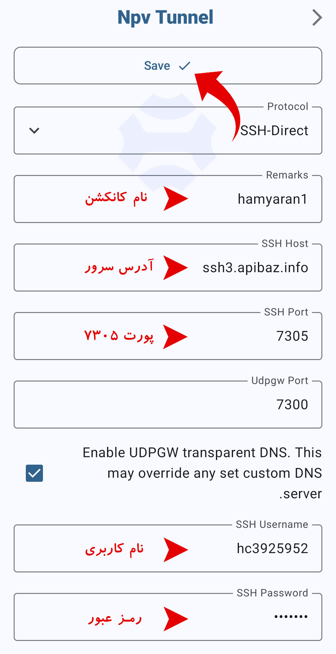 تنظیمات کانفیگ ساخت کانکشن npv tunnel